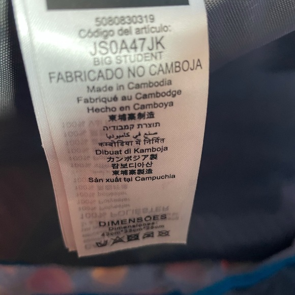 Large Jansport. Fruit backpack - Picture 5 of 10